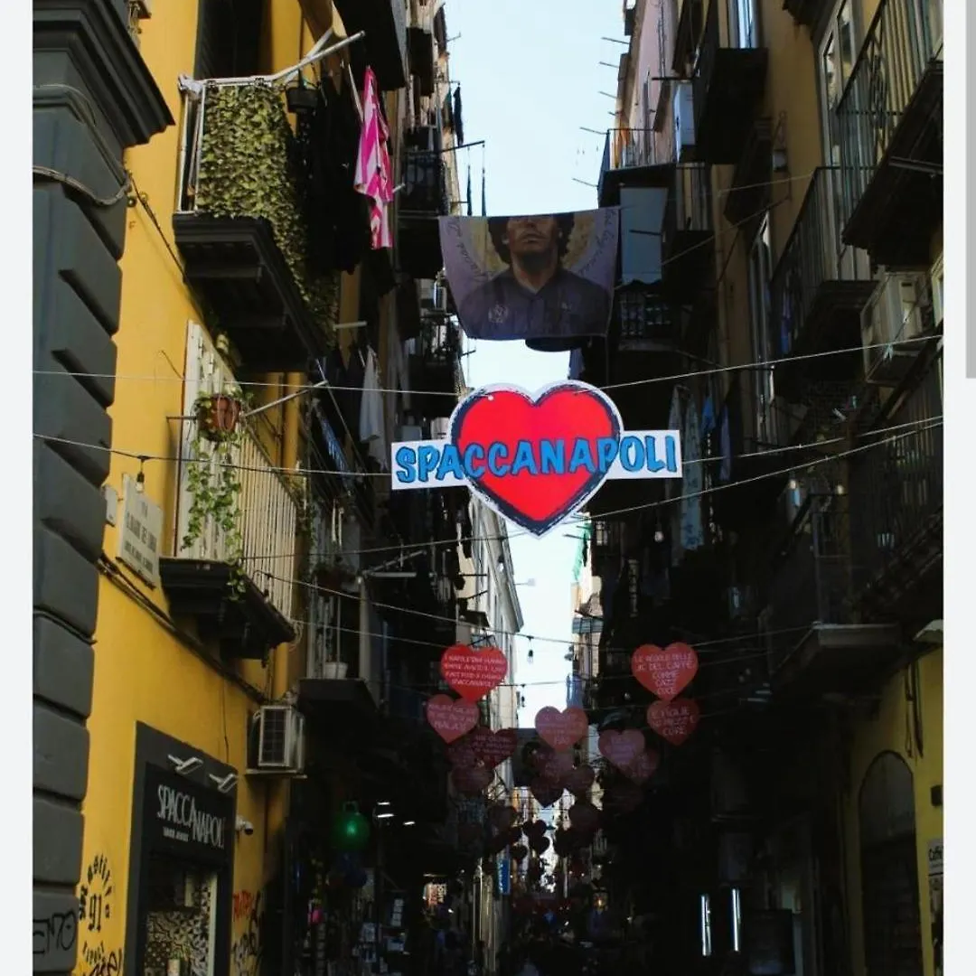 Vesuvius Home Naples Italy